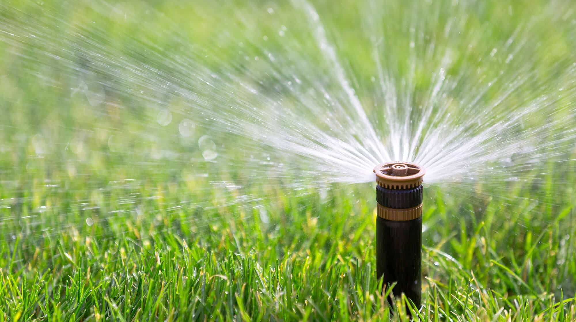 Blog Featured – July is Irrigation Association Smart Irrigation Month.