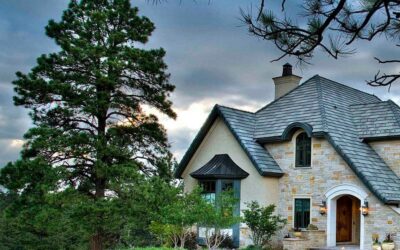 Are your trees cared for by certified experts?
