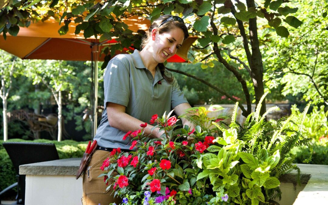 Is 2019 the year you achieve that beautiful landscape you’ve always wanted?