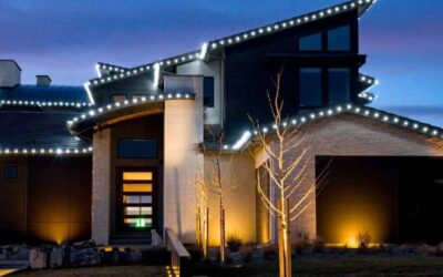 From festive lighting to bright, seasonal containers, it’s time for Holiday Décor!
