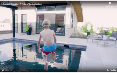 Lifescape video nominated for 2018 Marketing & Merchandising Excellence Awards