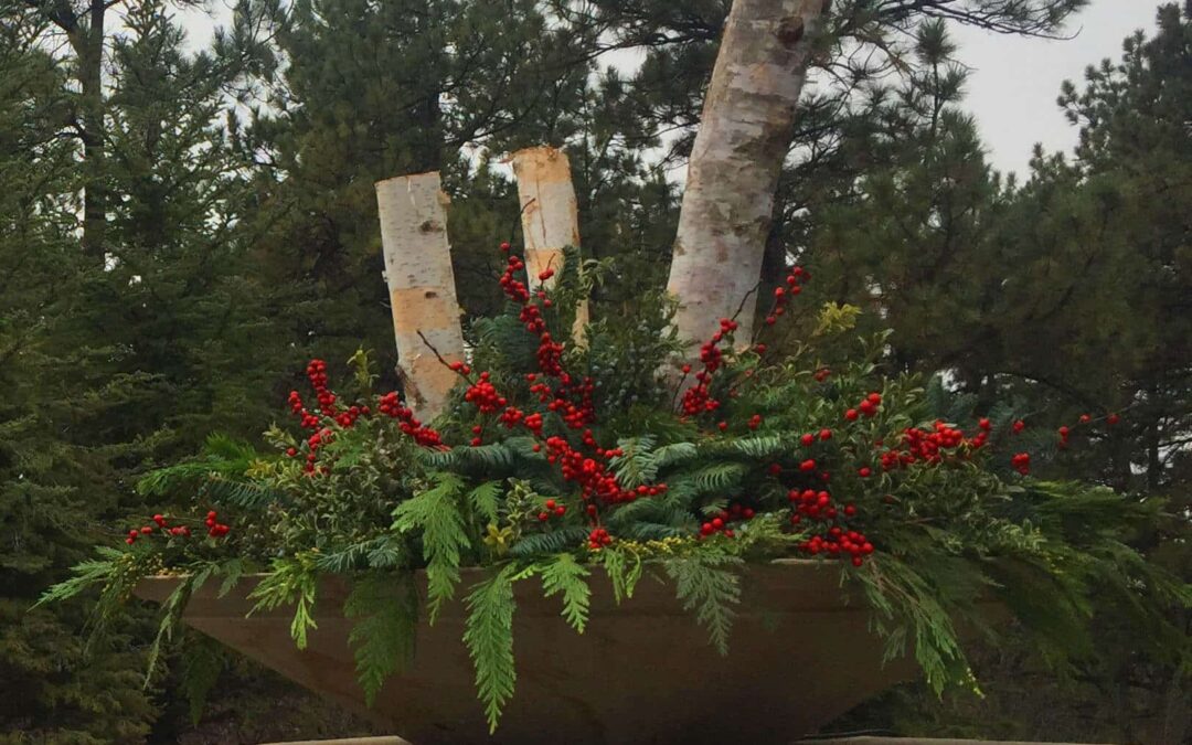 Green up the Season with Beautiful Holiday Containers and Décor.