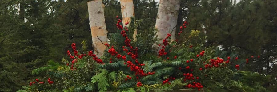 Green up the Season with Beautiful Holiday Containers and Décor.