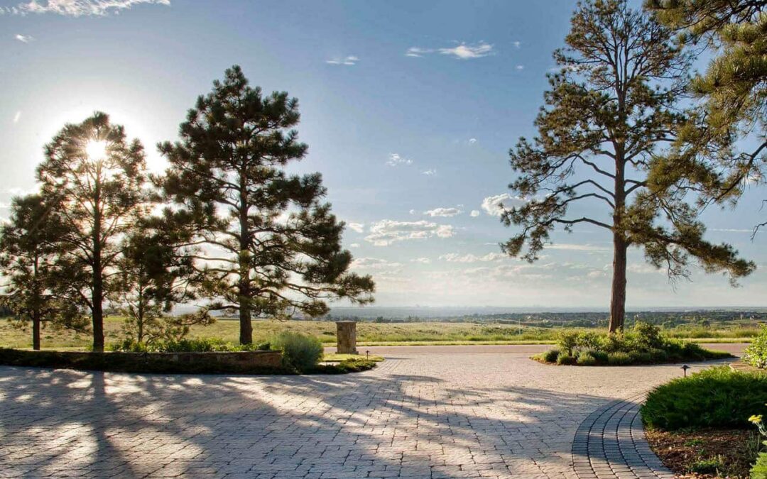 Trees: Caring for your most important Landscape Assets