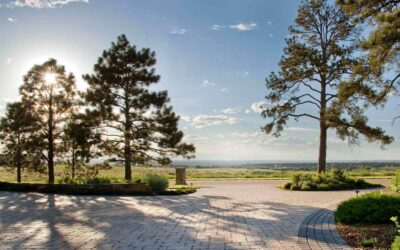 Trees: Caring for your most important Landscape Assets