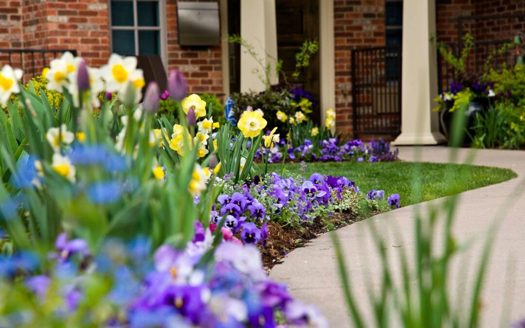 Spring is the season for bright, beautiful blooms!
