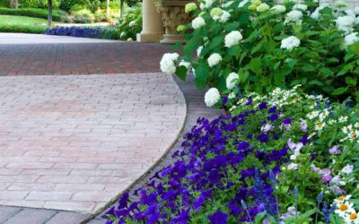 It’s time to brighten up your world with Seasonal Color.