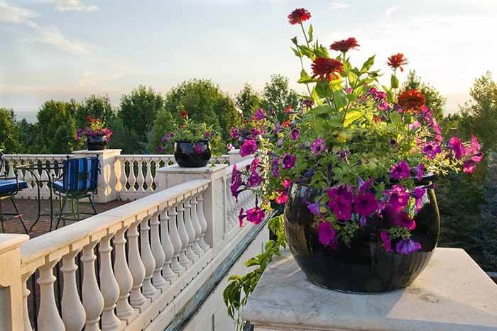 Blog Featured – Expert Advice: A 6-Step Guide to Container Plantings