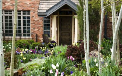Organic landscape practices yield sustainable and beautiful results.