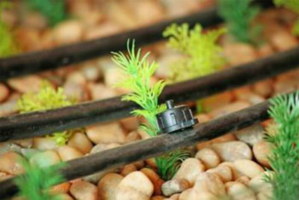 Smart Irrigation