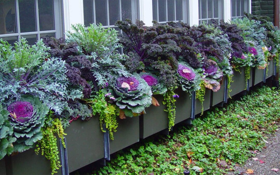 Colorful landscape enhancements help bring in the festive fall season.