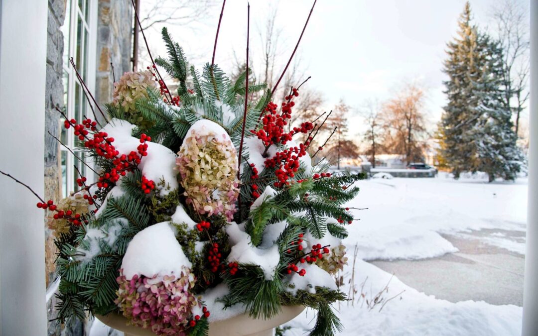 What to do now to prepare landscapes for these winter chills and for spring growth.