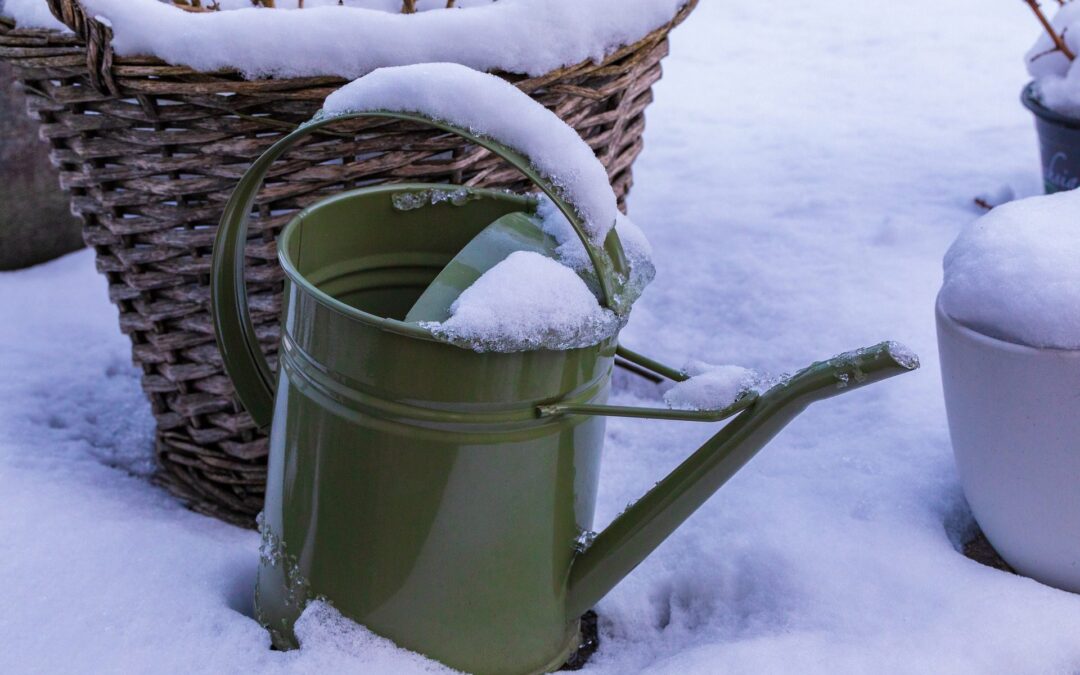 Top Recommendations for Winter Landscape Care