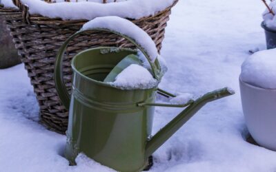 Top Recommendations for Winter Landscape Care