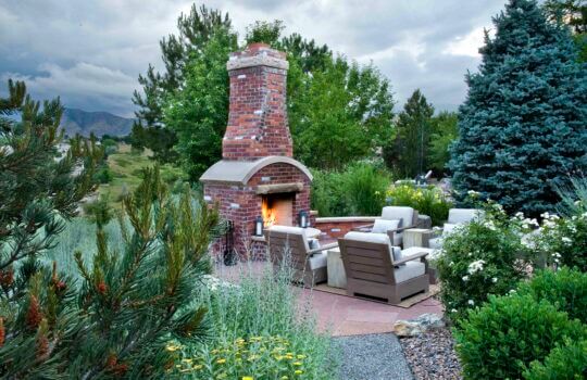 How to Protect Trees and Shrubs from Cold Weather With Anti-Desiccants