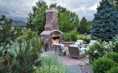 How to Protect Trees and Shrubs from Cold Weather With Anti-Desiccants