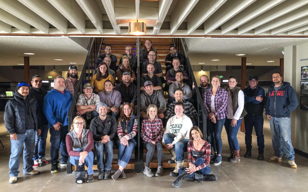 2019: A Lifescape Year in Review