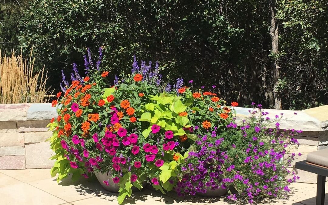 Color Your Landscape for Spring