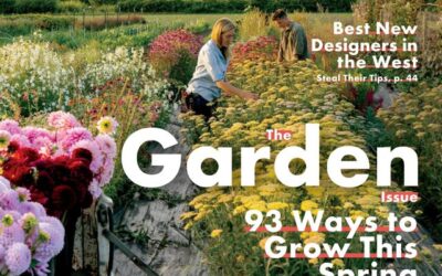 Lifescape Featured in Sunset Magazine