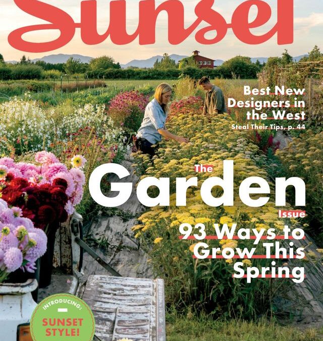 Lifescape Featured in Sunset Magazine