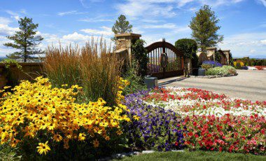 Blog Featured – Secrets to Breathtaking Seasonal Color in Your Colorado Landscape