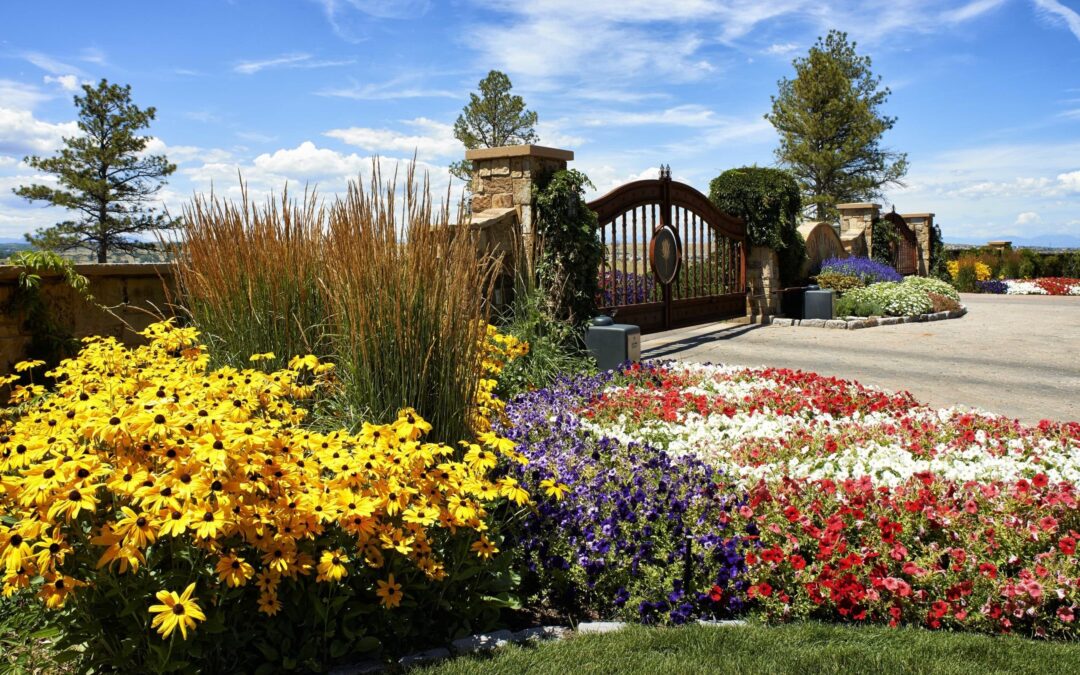 Secrets to Breathtaking Seasonal Color in Your Colorado Landscape