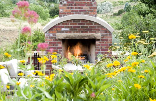 Your Guide to Low-Maintenance Landscaping in Colorado