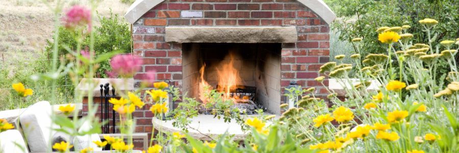Your Guide to Low-Maintenance Landscaping in Colorado