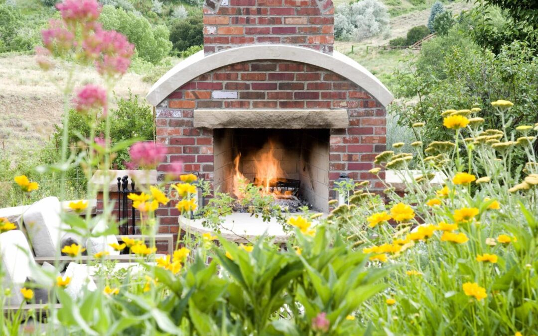 Your Guide to Low-Maintenance Landscaping in Colorado