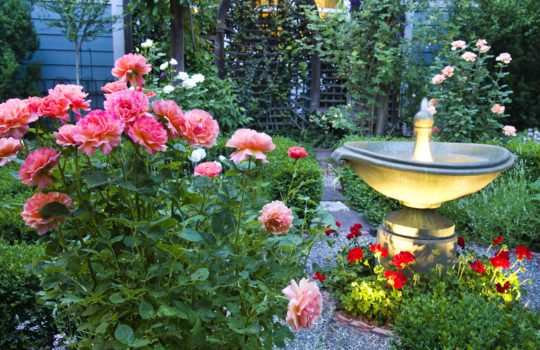 Your Ultimate Guide to Spring Landscape Color