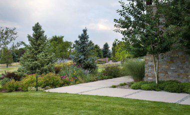 Blog Featured – 7 Tips to Bring your Landscape Back to Life