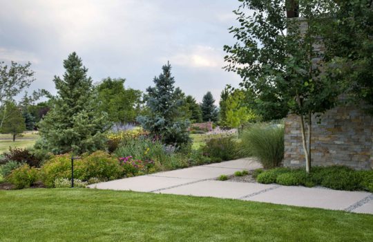 7 Tips to Bring your Landscape Back to Life