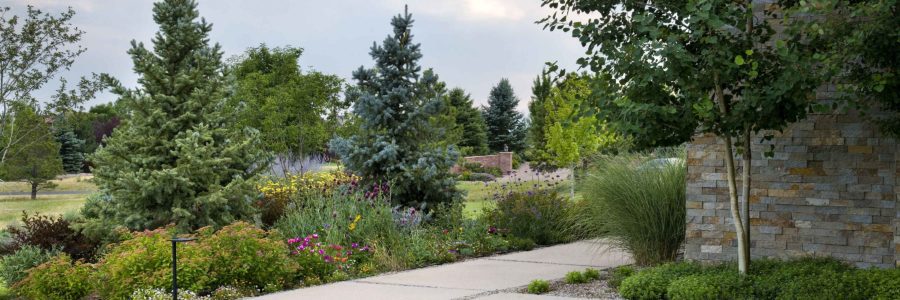 7 Tips to Bring your Landscape Back to Life