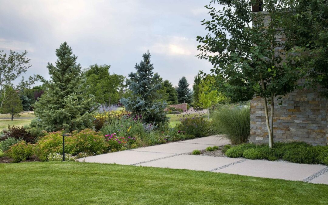 7 Tips to Bring your Landscape Back to Life