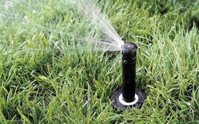 How to Maintain Your Irrigation System for Late Spring & Summer