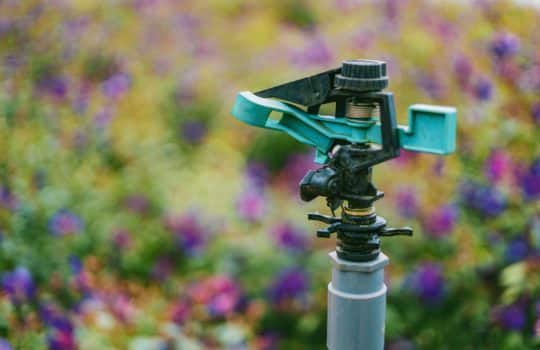 Smart Irrigation Month: The Secret to Saving Water this Summer