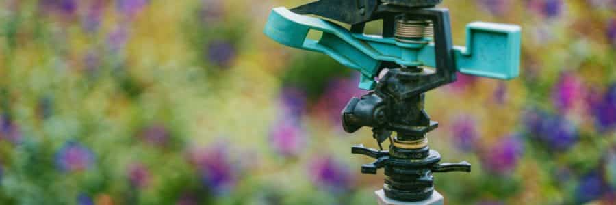 Smart Irrigation Month: The Secret to Saving Water this Summer