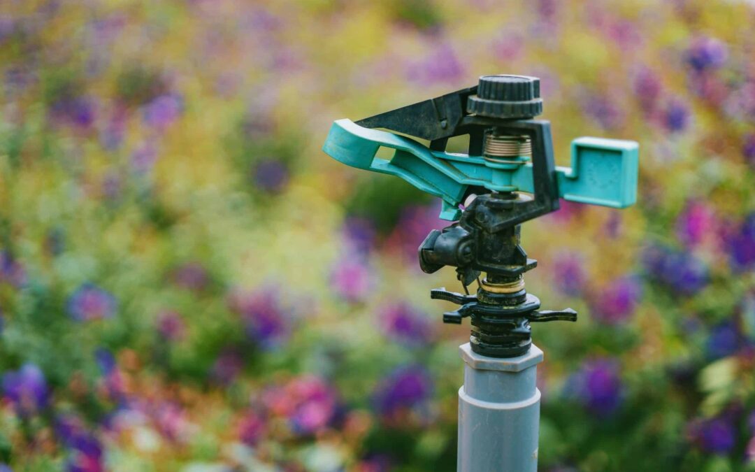 Smart Irrigation Month: The Secret to Saving Water this Summer