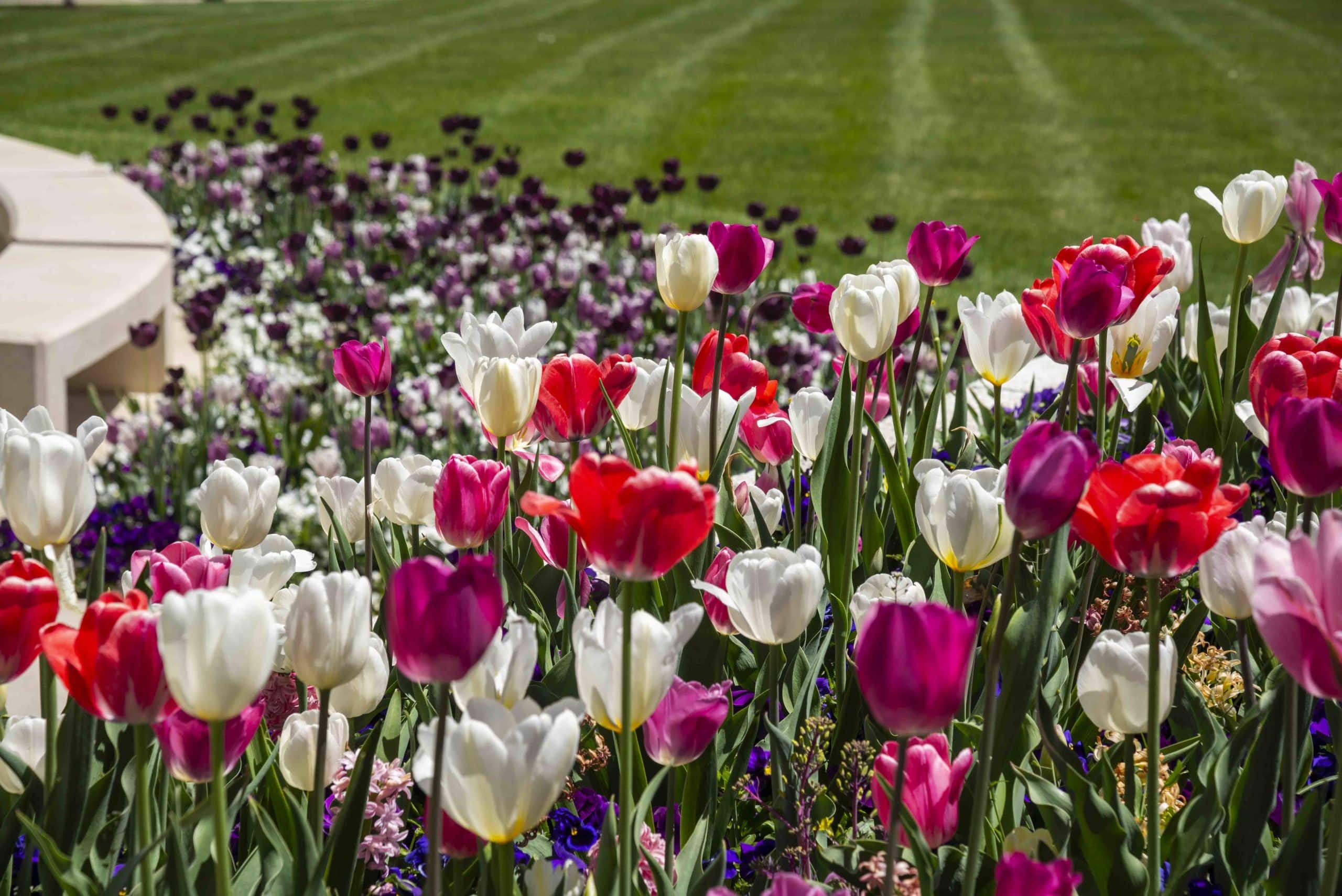 Sacred Grounds Lifescape Colorado