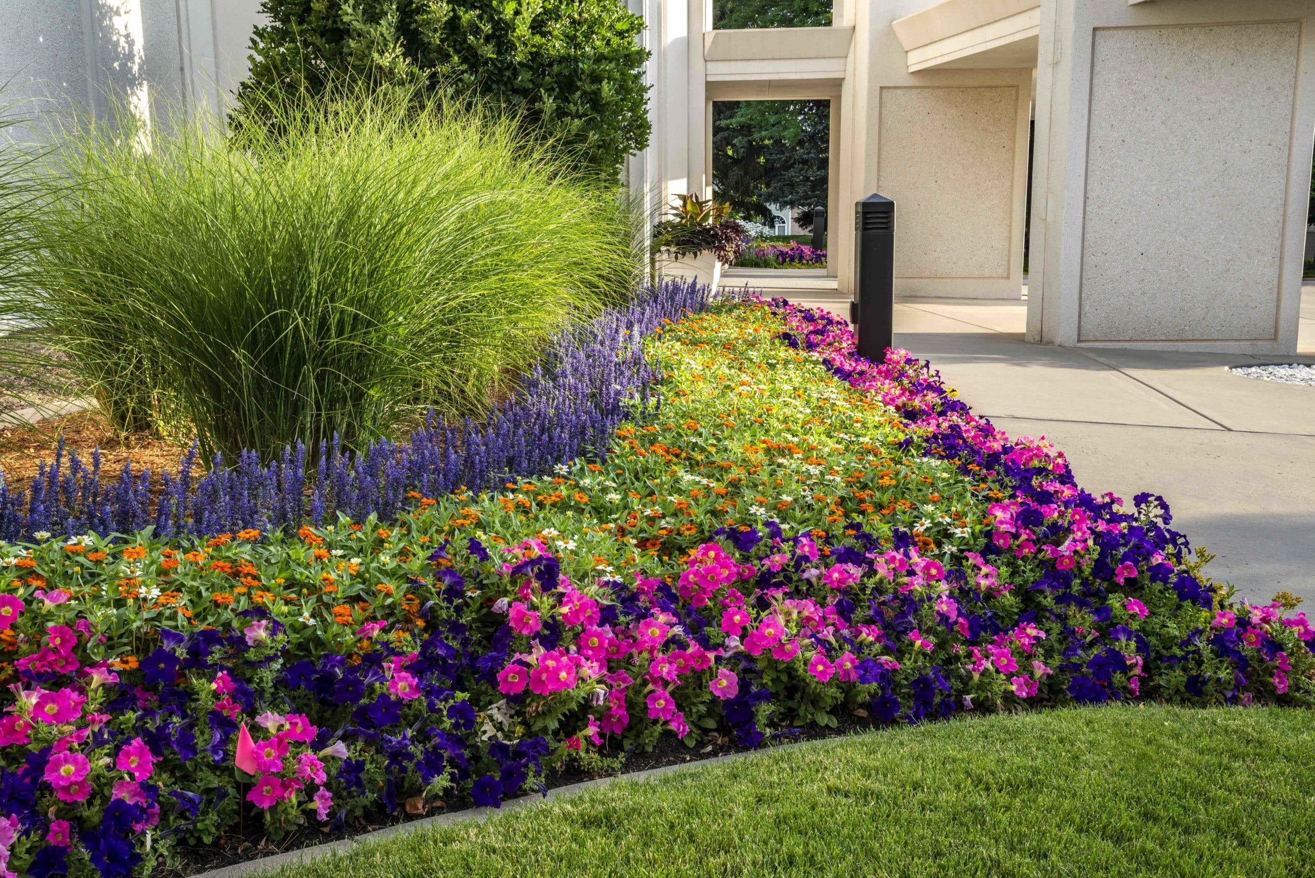 Sacred Grounds Lifescape Colorado