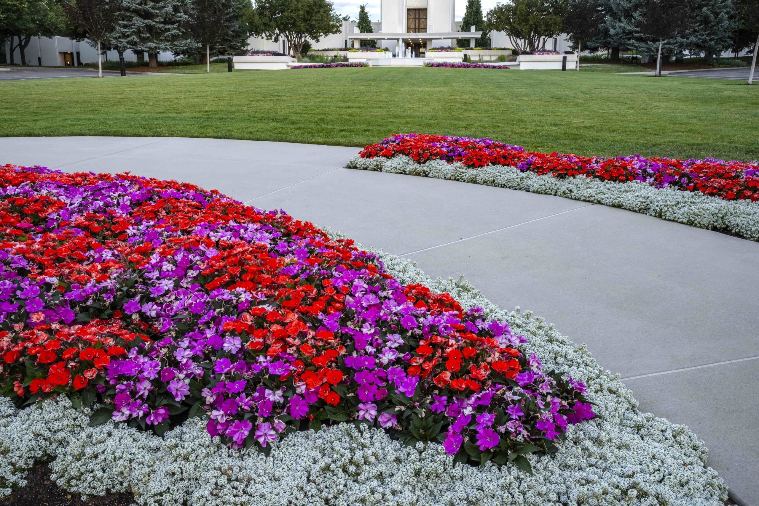 Sacred Grounds Lifescape Colorado