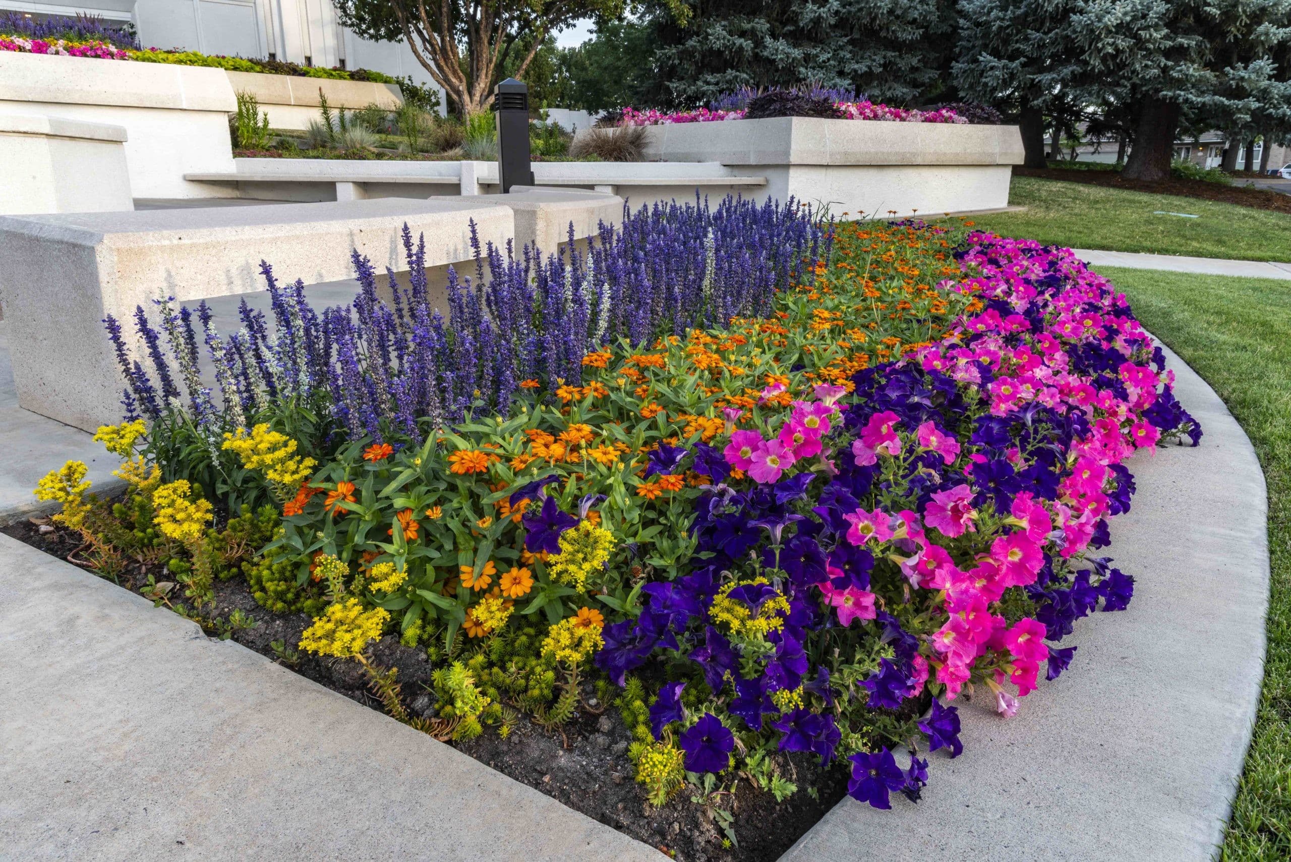 Sacred Grounds Lifescape Colorado