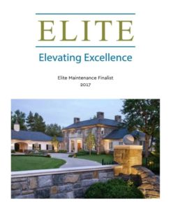 ELITE Award 2017
