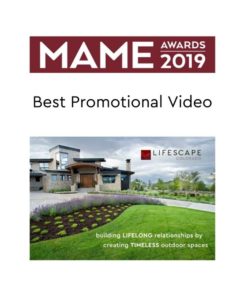 MAME Awards 2019