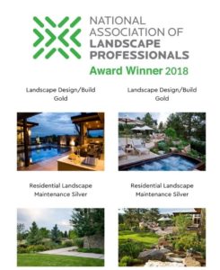 Lifescape Colorado wins 2 Prestigious Gold Awards & 2 Silver Awards from NALP