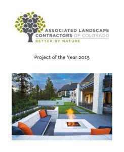 project of the year 2015