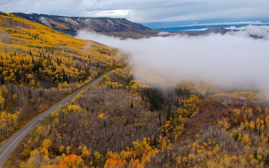 Full on Fall Displays