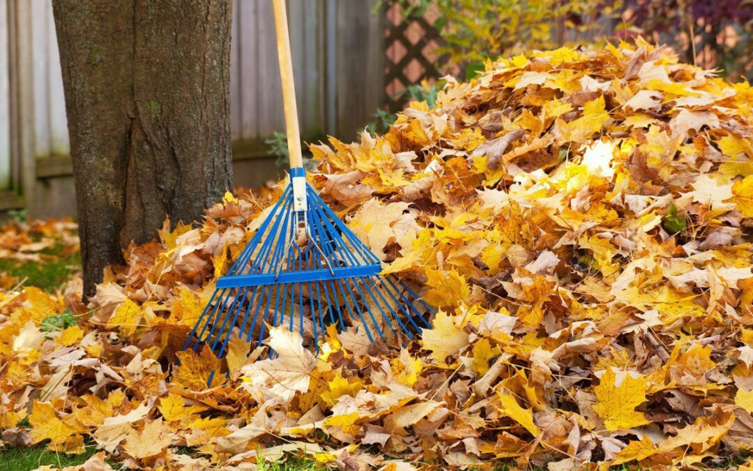 Don’t Waste Your Landscape Waste