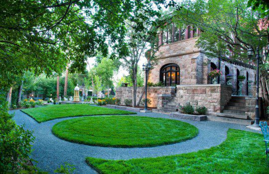 Tree Talk: Should You Invest In An Annual Tree-Care Program?