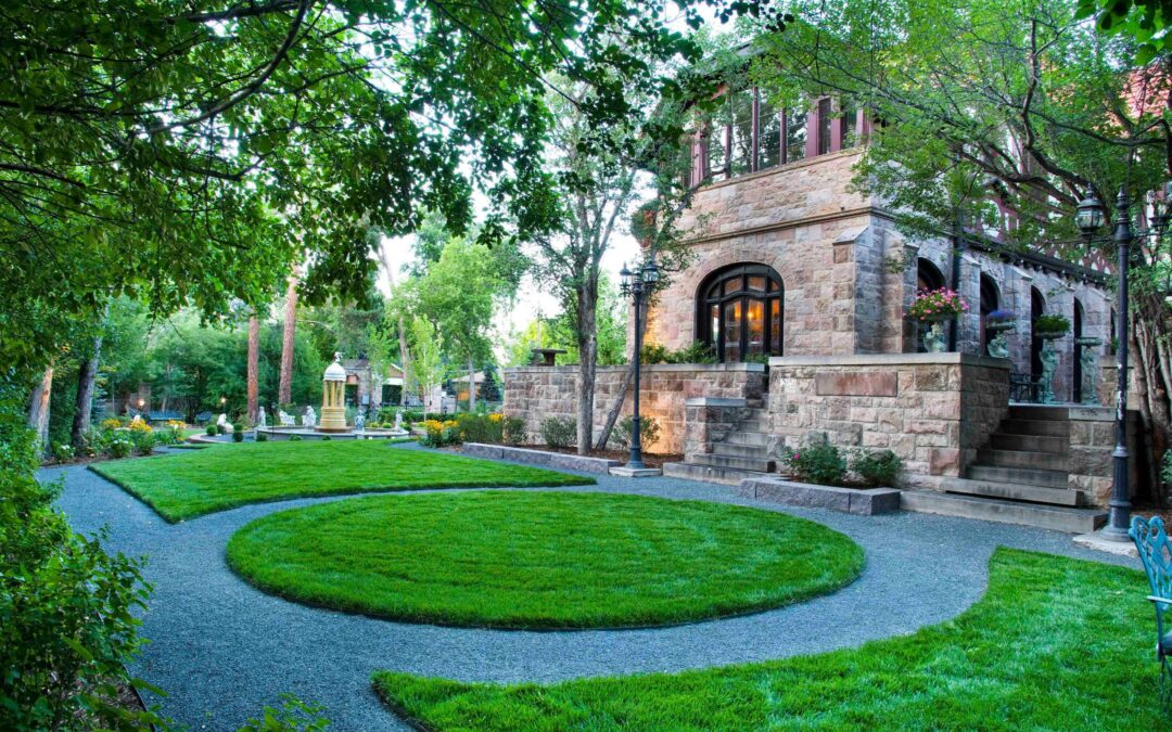 Tree Talk: Should You Invest In An Annual Tree-Care Program?